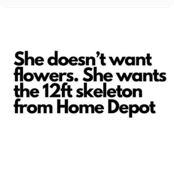 Bambis Is Live 11/ 1 & 8 ALL-DAY POSH ABILITIES SHARE SHOW TRAIN - Picture 6 of 16